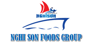 nghi son binh thuan logo